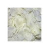100 Petals Color Vanilla af DIVERTY SEX