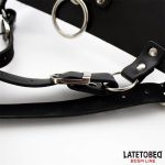 Adjustable Female Chastity Belt - Image 5