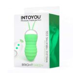 Brightgreen Vibrating Egg Remote Control USB Silicone - Image 2
