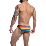 C4M01 Low Rise Bikini Brief Rainbow - Image 2
