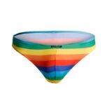 C4M01 Low Rise Bikini Brief Rainbow - Image 3