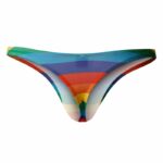 C4M03 Classic Thong Rainbow - Image 4