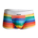 C4M06 Athletic Trunk Rainbow - Image 3
