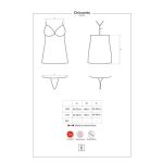 Chiccanta Chemise and Thong - Image 6