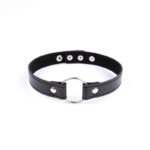 Collar with Hoop Adjustable 38,2 cm Black