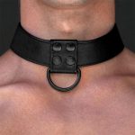 Collar with Leash Black Matt - Image 4