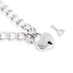 Collar with Lock Metal Size M 44 cm - Image 2
