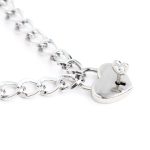 Collar with Lock Metal Size M 44 cm - Image 4