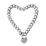 Collar with Lock Metal Size M 44 cm - Image 6