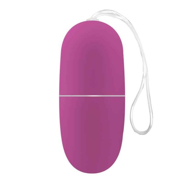 Ecopurple Vibrating Egg with Remote Control - Image 5