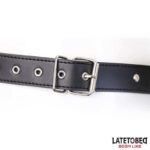 Harness Belt Adjustable - Image 8