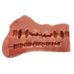 Lara Super Realistic Vagina and Anus 695 gr - Image 3