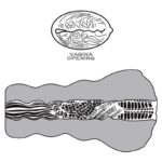 Masturbator Aliens Pie 3 - Image 8