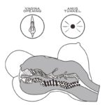 Masturbator Streetgirls 6 - Image 4