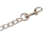 Metal Chain Leash - Image 2