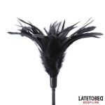 Multi Feathers Tickler and Lace Ribbon Paddle Comb - Image 4