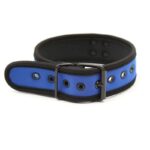 Neoprene Puppy Collar Adjustable Blue - Image 3
