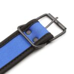 Neoprene Puppy Collar Adjustable Blue - Image 4