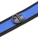 Neoprene Puppy Collar Adjustable Blue - Image 5