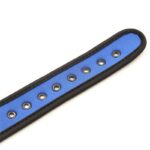 Neoprene Puppy Collar Adjustable Blue - Image 6