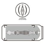 Pleasure Brew Masturbator Vagina Blond Ale - Image 10