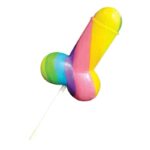 Rainbow Penis Shaped Lollipop - Image 2