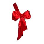 Red Sexy Costume Bow - Image 2