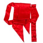 Red Sexy Costume Bow - Image 3