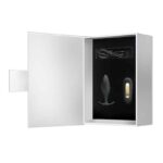 Regina Royal Butt Plug with Remote USB - Image 10