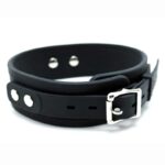 Collar with Leash Silicone - Image 3