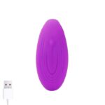 Roomie Couples Vibrator Unibody Liquid Silicone Remote Control USB - Image 6