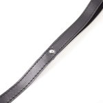 Strap Leash 116cm - Image 4