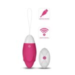 Vibrating Egg IJoy Remote Control USB Pink - Image 2