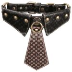 Rebellion Reign Collar with Chain - Image 2