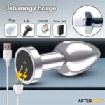 Dimpor Chrome Anal Plug with Vibration and Magnetic USB Size L - Image 8