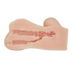 Hannah Realistic Masturbator Vagina and Anus - Image 6