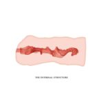 Linda Vagina Masturbator Fresh Surface Flesh - Image 4