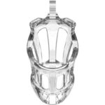 Penis Cage PC08 Transparent - Image 3