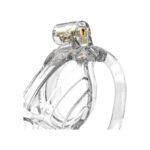 Penis Cage PC08 Transparent - Image 4