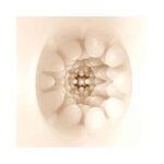 Olga Masturbator Egg Double Texture - Image 16