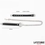 Buckle fastener Ring with Leash - Image 4