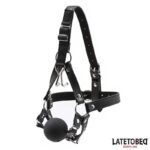 Head Harness with Ball Gag and Nose Hook