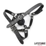 Head Harness with Ball Gag and Nose Hook - Image 4