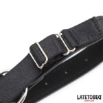 Head Harness with Ball Gag and Nose Hook - Image 6