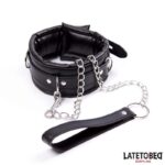 Padded Collar with Leash - Image 2