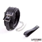 Padded Collar with Leash