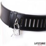 Womens Chastity Belt One Size - Image 5