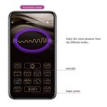 Franz Vibe with Panty Stimulator and App - Image 12