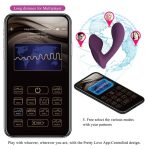 Franz Vibe with Panty Stimulator and App - Image 17