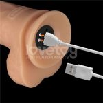Power Basics Dildo with Vibration 9 - Image 12